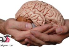از دلایل کاهش عملکرد مغز چه می دانید؟ (2 نکته مهم)