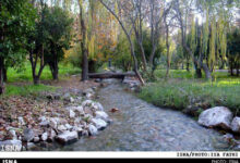باغ چشمه بلقیس: زیبایی های ناشناخته استان کهگیلویه وبویراحمد (+ تصاویر)