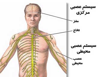 بیماری بری بری چیست؟ (2 نکته مهم) بیماری بری بری چیست؟ (2 نکته مهم)