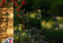 تصاویری از طبیعت زیبا و بکر (2 نکته مهم)