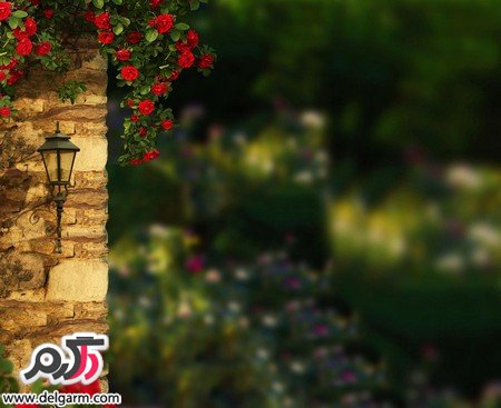 تصاویری از طبیعت زیبا و بکر (2 نکته مهم) تصاویری از طبیعت زیبا و بکر (2 نکته مهم)