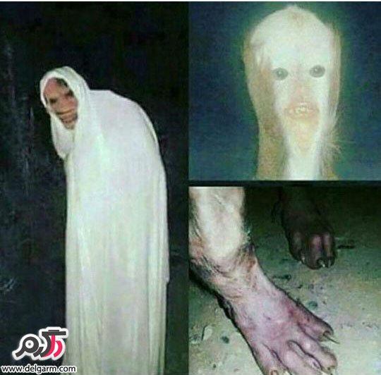 جن/نکاتی درمورد جن/محل زندگی جن به همراه تصاویر جن/نکاتی درمورد جن/محل زندگی جن به همراه تصاویر