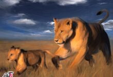 حیوانات و حیات وحش سری چهارم (2 نکته مهم)