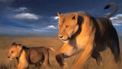 حیوانات و حیات وحش سری چهارم (2 نکته مهم)
