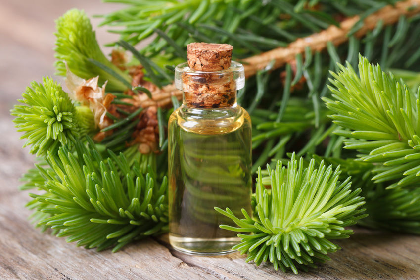 خواص روغن سدر : ۲۷ خاصیت روغن چوب سدر برای زیبایی و سلامتی بدن (2 نکته مهم)
