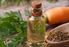 خواص فوق العاده روغن تخم هویج برای سلامت بدن (2 نکته مهم)