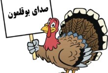 دانلود صدای بوقلمون برای جفتگیری (نر،ماده) (2 نکته مهم)