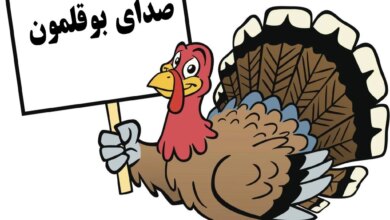 دانلود صدای بوقلمون برای جفتگیری (نر،ماده) (2 نکته مهم)