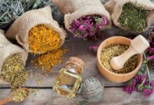 روغن های گیاهی چه فوایدی برای تقویت مغز و افزایش حافظه دارند؟ (2 نکته مهم)