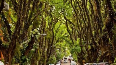 زیباترین خیابان جهان + عکس (+ تصاویر)