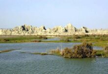 سفر به جزیره شگفتی‌ها (+ تصاویر)