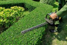 چمن زن چیست و چه کاربردی دارد ؟