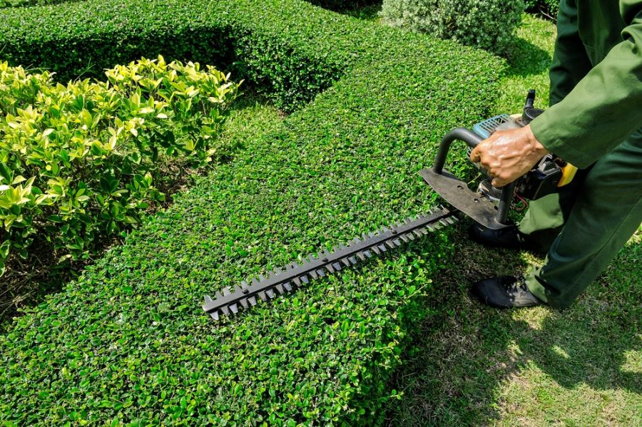 چمن زن چیست و چه کاربردی دارد ؟ چمن زن چیست و چه کاربردی دارد ؟