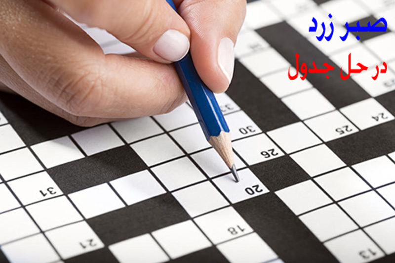 صبر زرد در جدول / پاسخ صبر زرد در حل جدول