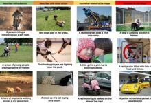 صفر تا صد مبحث درک تصویر (image captioning)