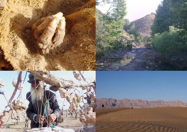 عجایب چهارگانه ترسناک ایران (+ تصاویر) عجایب چهارگانه ترسناک ایران (+ تصاویر)