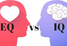 فرق IQ و EQ افراد در چیست؟