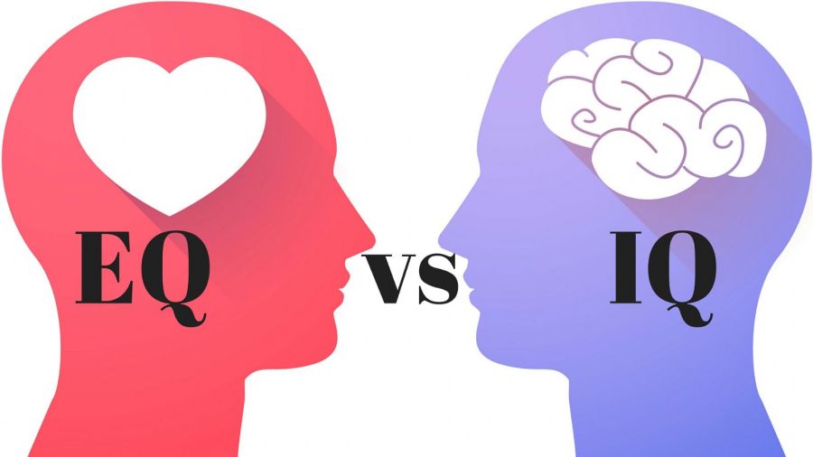 فرق IQ و EQ افراد در چیست؟ فرق IQ و EQ افراد در چیست؟