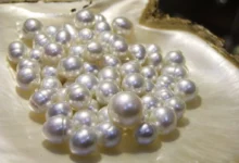 مروارید چطور ساخته می‌شود؟