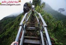 مسیری بسوی بهشت خیالی + عکس (+ تصاویر)