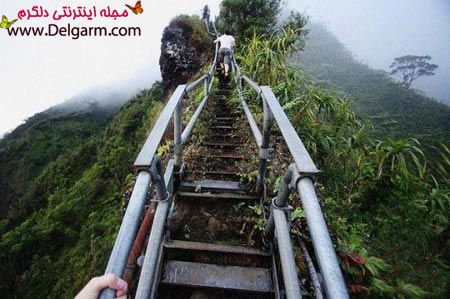 مسیری بسوی بهشت خیالی + عکس (+ تصاویر)