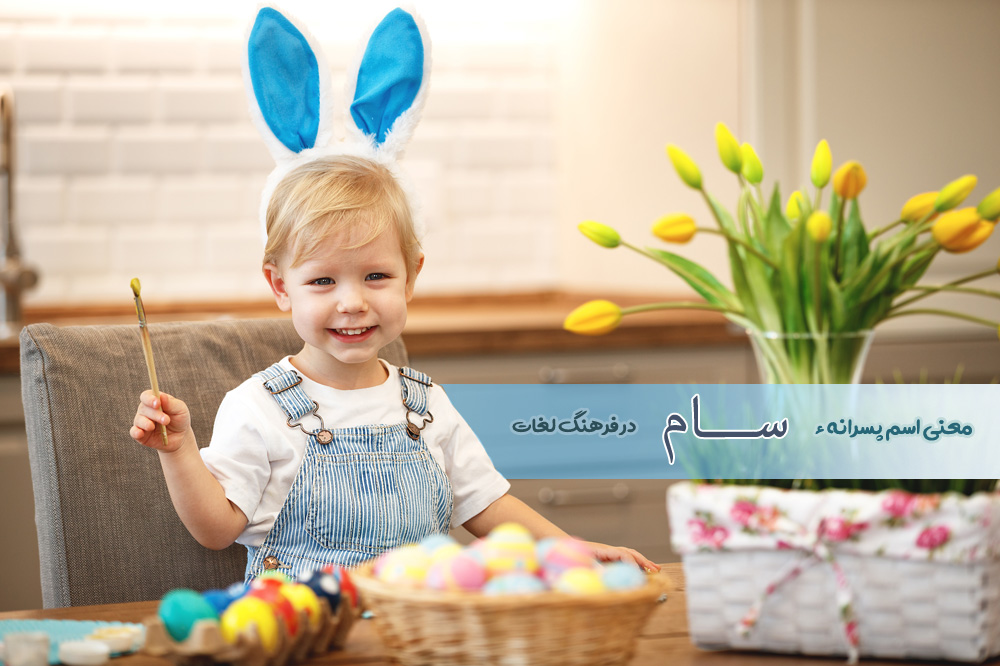 معنی اسم سام چیست ؟