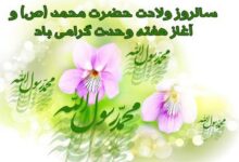 هفته وحدت در سال ۹۸ چه تاریخی دارد ؟