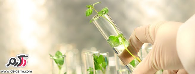 همه آنچه که باید بدانید در مورد شیمی سبز