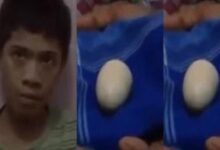 ویدیو + متن استثنایی از پسر بچه ای که تخم میگذارد