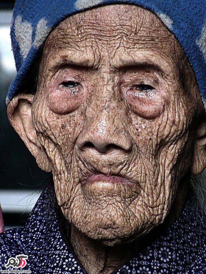 پیرترین انسان زنده (لی شینون) چند سال دارد؟