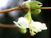 پیچ آبجوئی (2 نکته مهم)