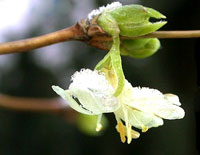 پیچ آبجوئی (2 نکته مهم)