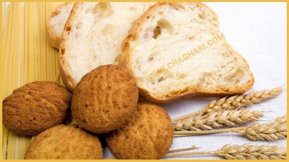 چاقی گلوتن چیست ؟ علائم حساسیت به گلوتن کدامند ؟ (2 نکته مهم)