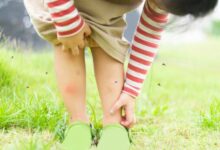 ۱۶ روش شگفت انگیز برای دور کردن و کشتن پشه ها