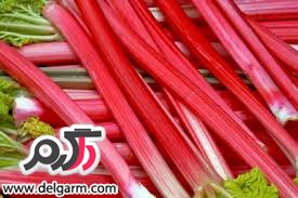 با خواص درمانی ریواس آشنا هستید؟ (2 نکته مهم)