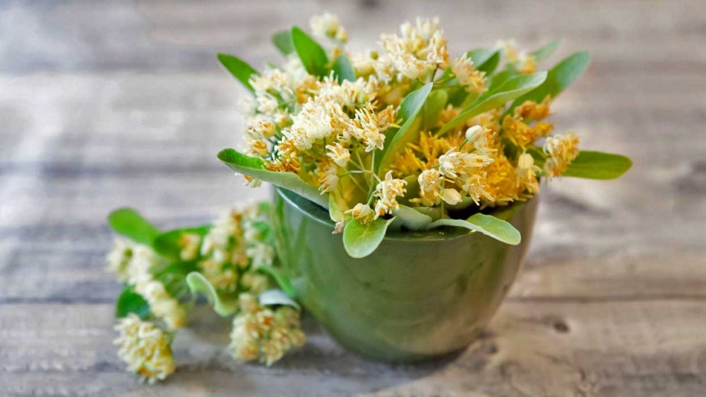 خواص دارویی و درمانی دمنوش زیرفون برای سلامتی (2 نکته مهم)