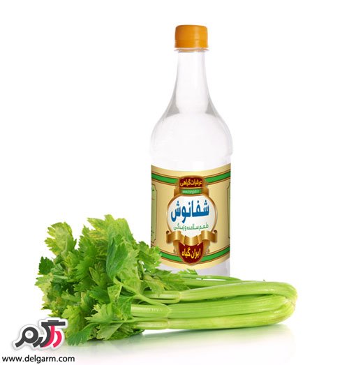 خواص دارویی و درمانی عرق کرفس در طب سنتی (2 نکته مهم)