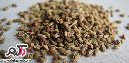 خواص دارویی و درمانی عرق زنیان