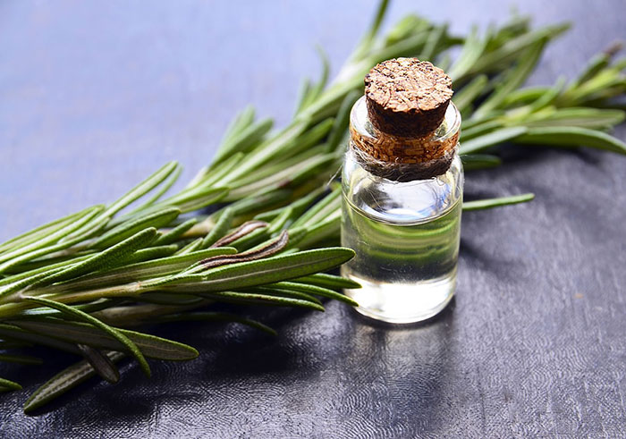 ۱۵ خاصیت شگفت انگیز روغن رزماری برای پوست و مو (2 نکته مهم)