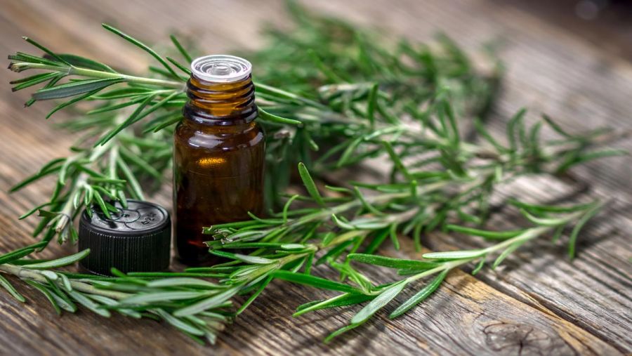 خواص روغن رزماری : ۲۱ خاصیت اثبات شده روغن رزماری برای سلامت بدن (2 نکته مهم)