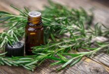 خواص روغن رزماری : ۲۱ خاصیت اثبات شده روغن رزماری برای سلامت بدن (2 نکته مهم)