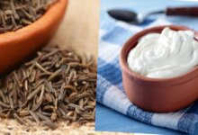 فواید عجیب ترکیب ماست و زیره ، کاهش وزن چشمگیر طی 15 روز (2 نکته مهم)