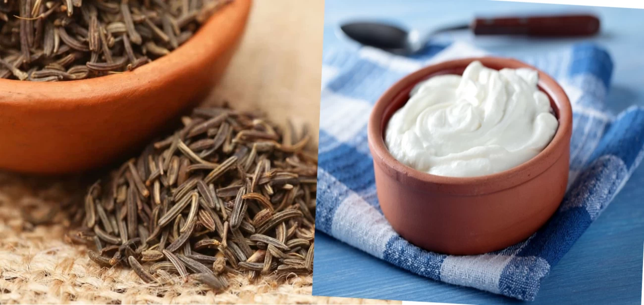 فواید عجیب ترکیب ماست و زیره ، کاهش وزن چشمگیر طی 15 روز (2 نکته مهم) فواید عجیب ترکیب ماست و زیره ، کاهش وزن چشمگیر طی 15 روز (2 نکته مهم)