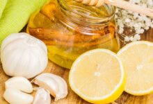 آشنایی با چند پنی سیلین گیاهی (2 نکته مهم)