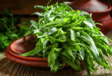 پایین آوردن فشار خون با سالاد ترخون (2 نکته مهم)
