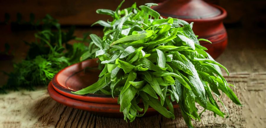 پایین آوردن فشار خون با سالاد ترخون (2 نکته مهم)