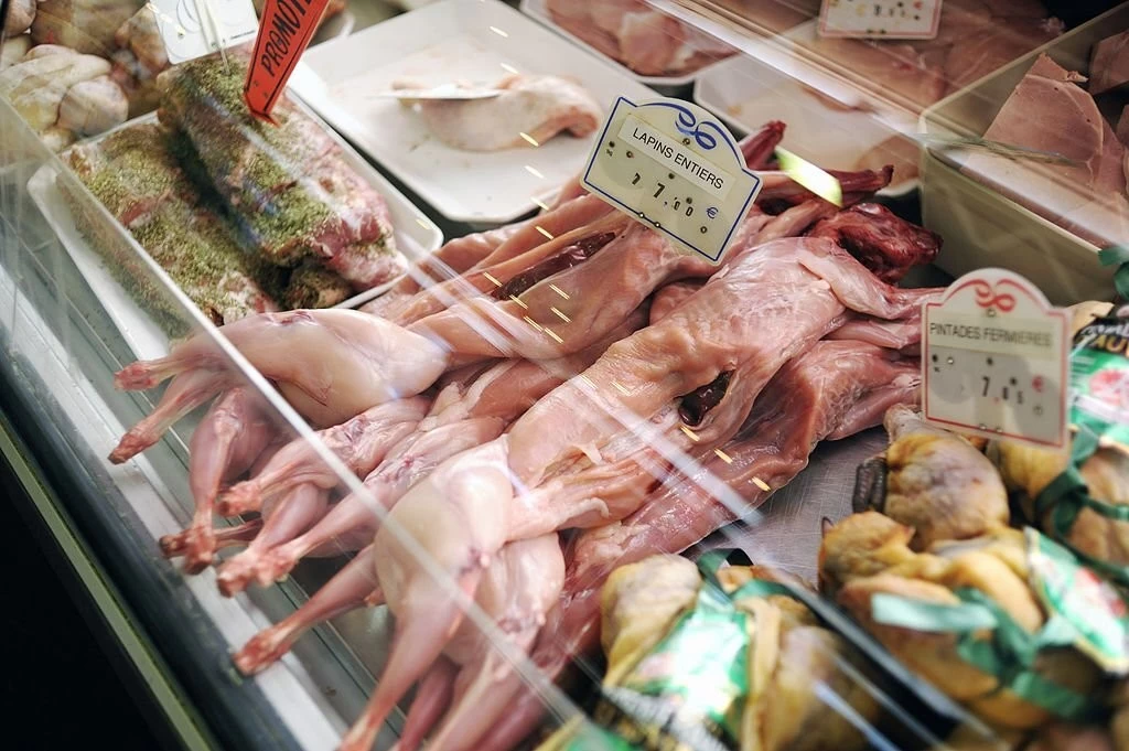گوشت خرگوش