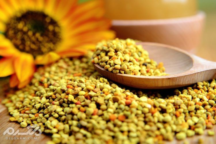 گرده زنبور عسل,گرده گل,گرده زنبور,گرده عسل