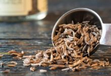 آشنا شوید با راز روغن زیره که باعث سلامتی و جوانی می شود (2 نکته مهم)