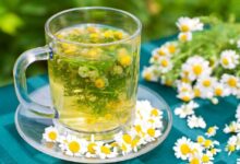 با چای بابونه سلامت خود و خانواده را تضمین کنید (2 نکته مهم)